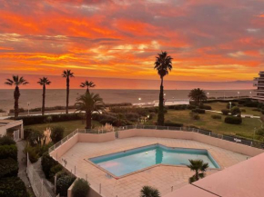 Bel appartement vue mer accès direct plage